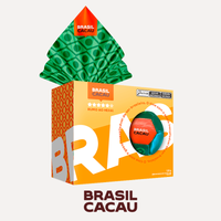 Ovo de Páscoa com Bola de Futebol Brasil - 120g