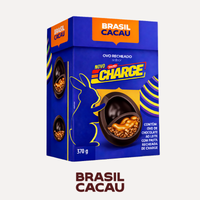 Ovo de Páscoa Recheado Charge® Nestlé® - 370g