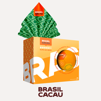 Ovo de Páscoa com Bola de Futebol Brasil - 120g